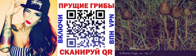 Псилоцибиновые грибы мухоморы  Жигулёвск 